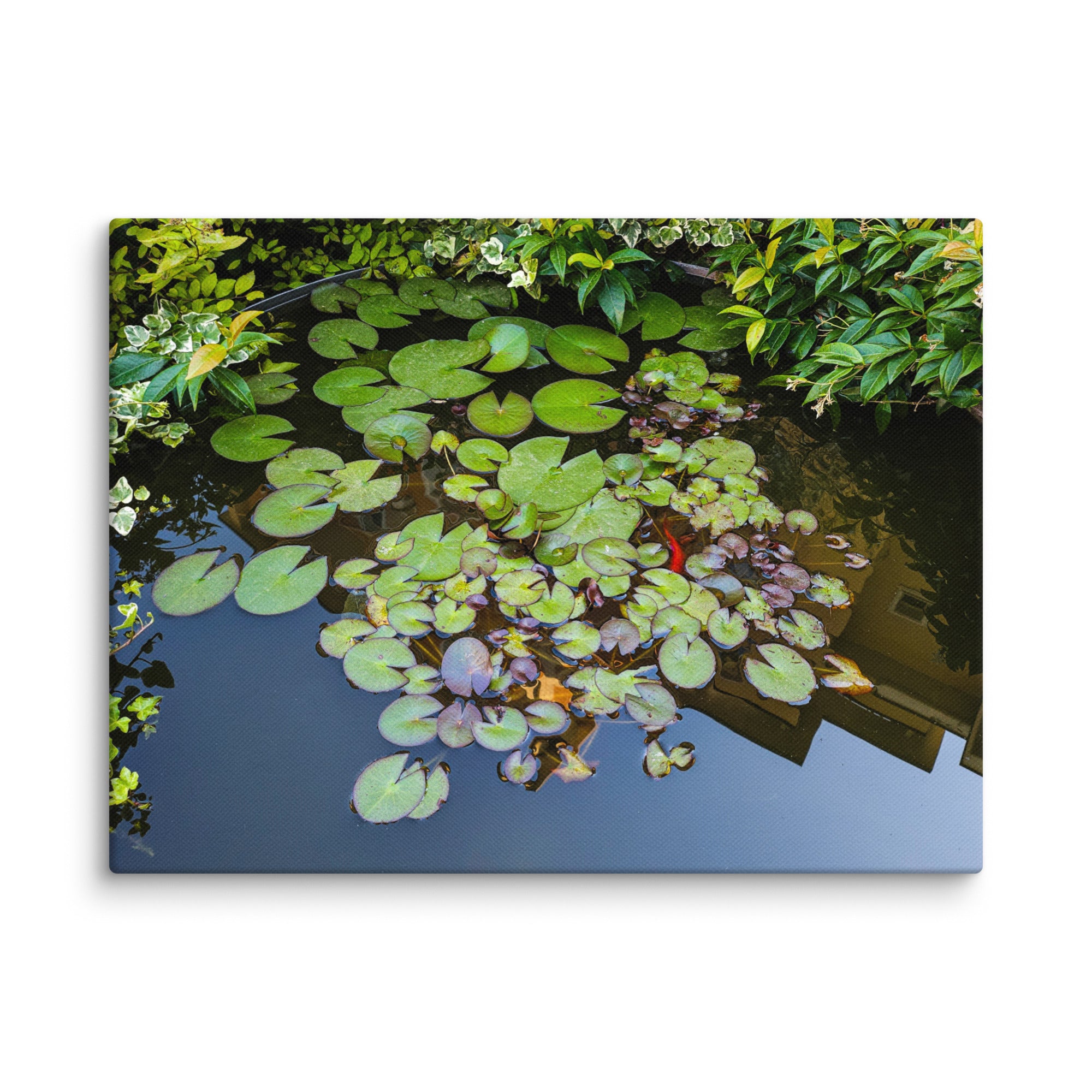 Canvas of a Pond and Lily Pads in Darfo Boario Terme Italy - Rosetta Creative Boutique